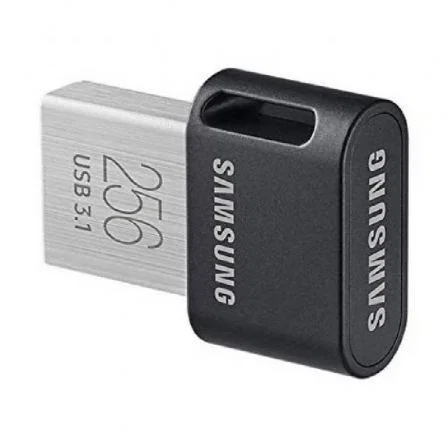 Samsung FIT Plus MUF-256AB/APC 256 GB Gris, Plata